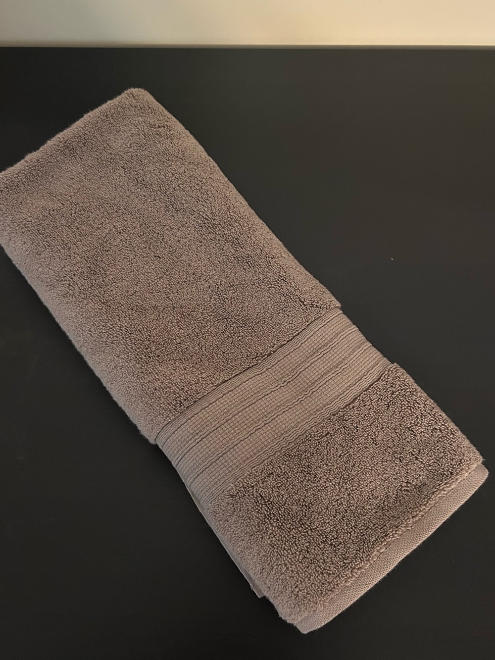 NWOT Pottery Barn hydrocotton quick dry hand towel